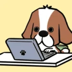 ウェブ制作からチラシ配布まで行う、地域特化型ネット広告会社